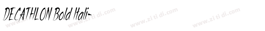 DECATHLON Bold Itali字体转换 DECATHLON Bold Itali字体转换